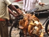 Chickens Kolkata, India