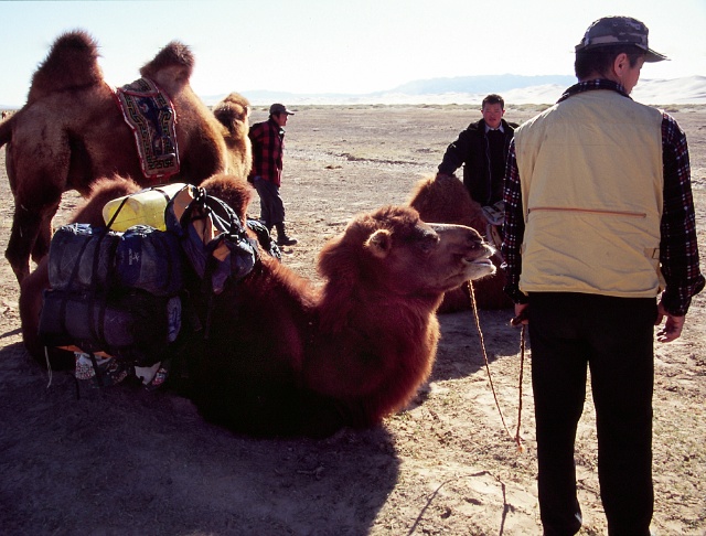 Gobi Mongolia