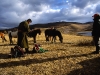 Horse Trek Central Mongolia